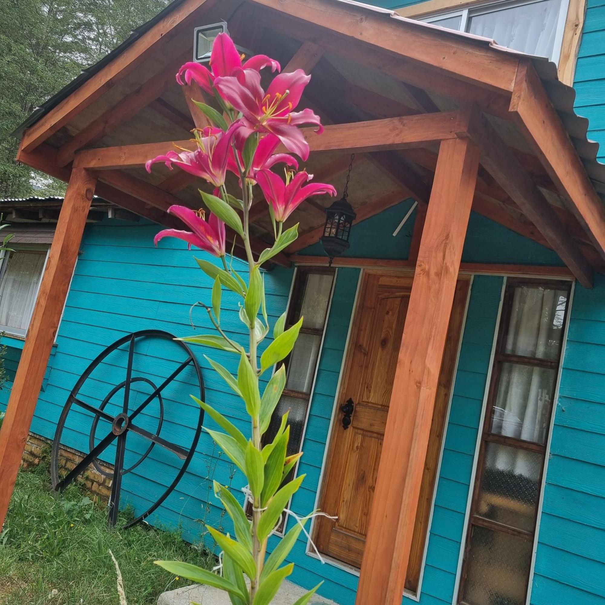 קוצ'מו Cabanas Jade מראה חיצוני תמונה